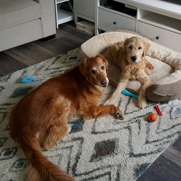 Welcome! 😊❤️ - Picture 2 of 5